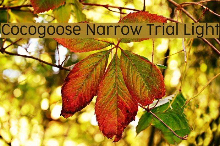 Cocogoose Narrow Trial Light Font examples