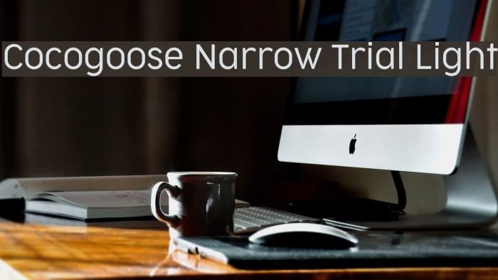 Cocogoose Narrow Trial Light Font examples