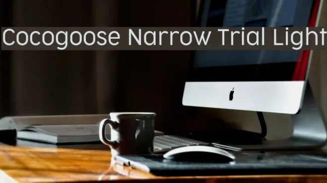 Cocogoose Narrow Trial Light Example 2