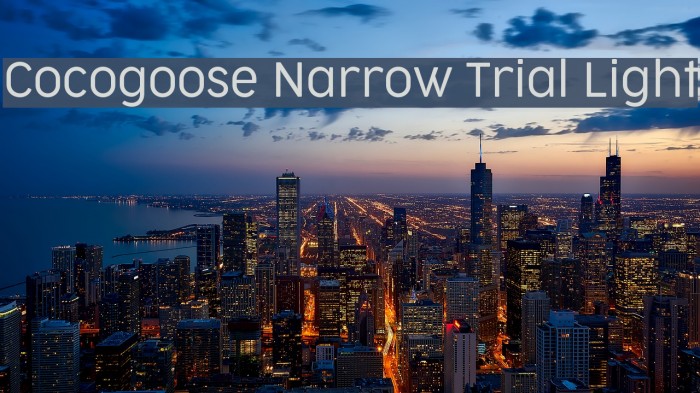 Cocogoose Narrow Trial Light Font examples