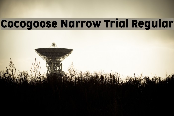 Cocogoose Narrow Trial Regular Font examples