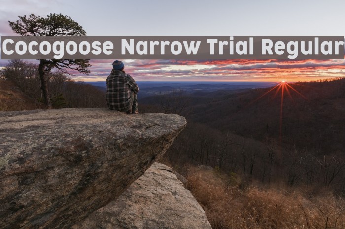 Cocogoose Narrow Trial Regular Font examples