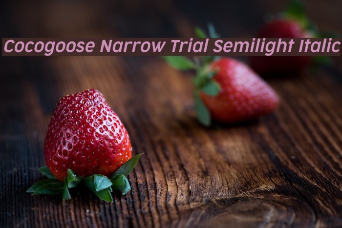 Cocogoose Narrow Trial Semilight Italic Font examples