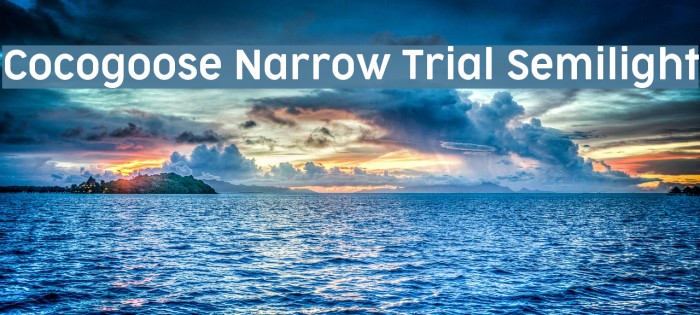 Cocogoose Narrow Trial Semilight Font examples