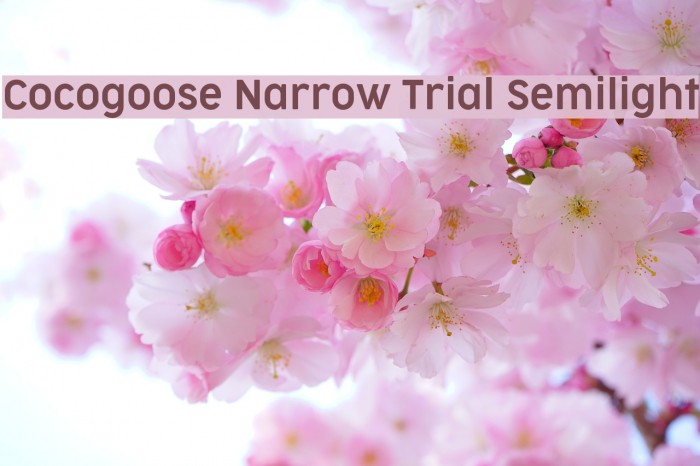 Cocogoose Narrow Trial Semilight Font examples