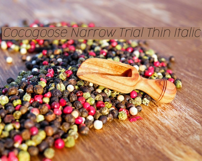 Cocogoose Narrow Trial Thin Italic Font examples