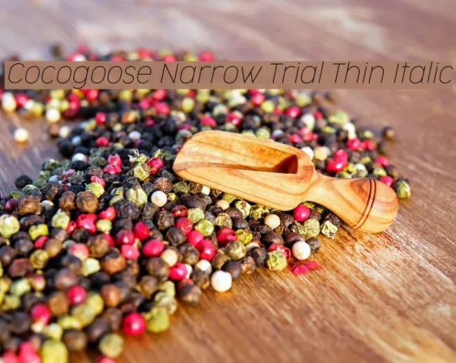 Cocogoose Narrow Trial Thin Italic Example 2