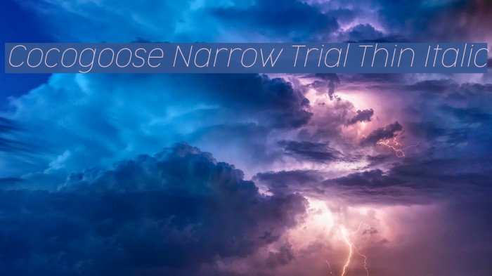 Cocogoose Narrow Trial Thin Italic Font examples