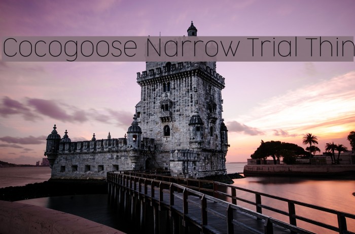 Cocogoose Narrow Trial Thin Font examples