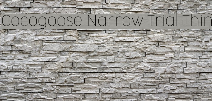 Cocogoose Narrow Trial Thin Font examples