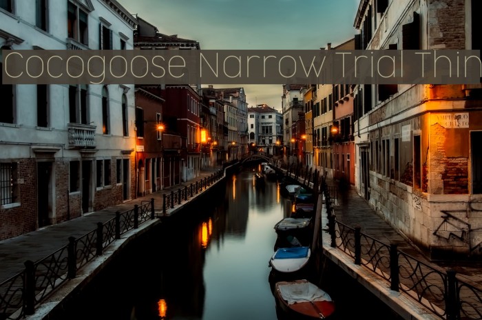 Cocogoose Narrow Trial Thin Font examples