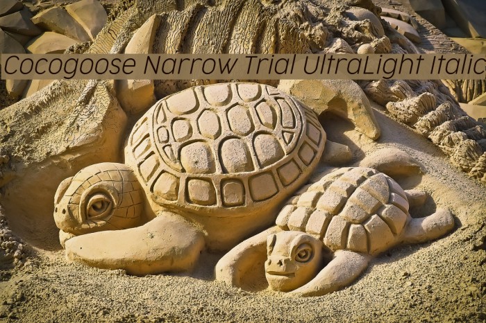 Cocogoose Narrow Trial UltraLight Italic Font examples