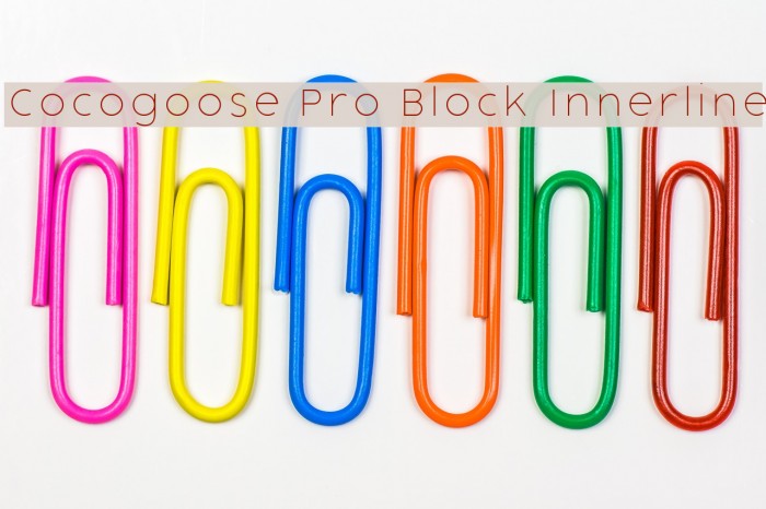 Cocogoose Pro Block Innerline Example 1