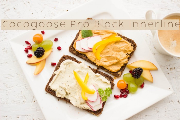 Cocogoose Pro Block Innerline Example 2