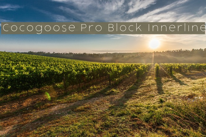 Cocogoose Pro Block Innerline Example 3