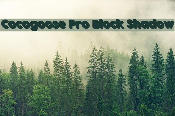 Cocogoose Pro Block Shadow Example 1