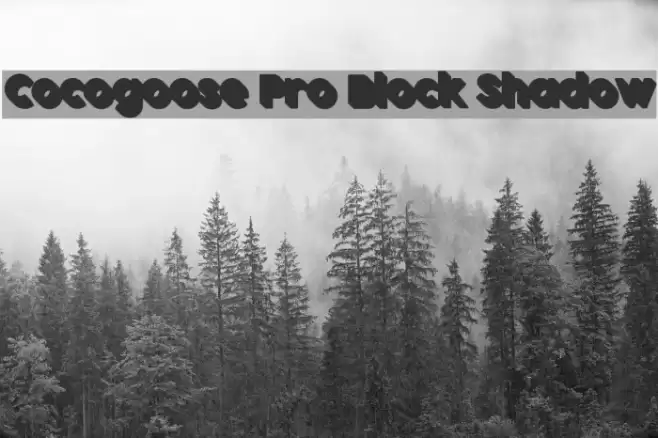Cocogoose Pro Block Shadow Font examples