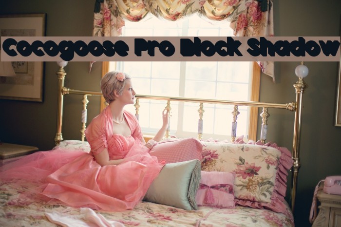 Cocogoose Pro Block Shadow Example 2