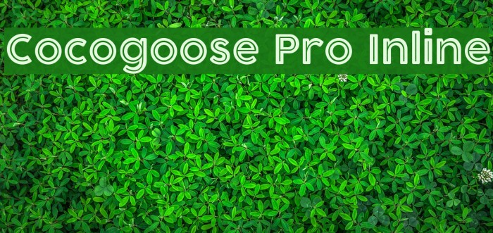 Cocogoose Pro Inline Font examples