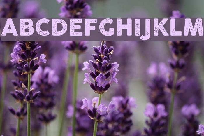 Cocogoose Pro Letterpress Example 3