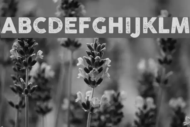 Cocogoose Pro Letterpress Font examples