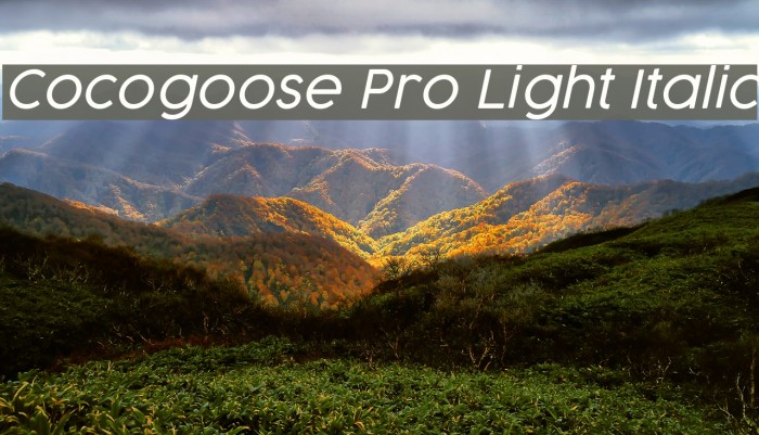 Cocogoose Pro Light Italic Font examples