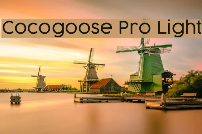 Cocogoose Pro Light Example 2