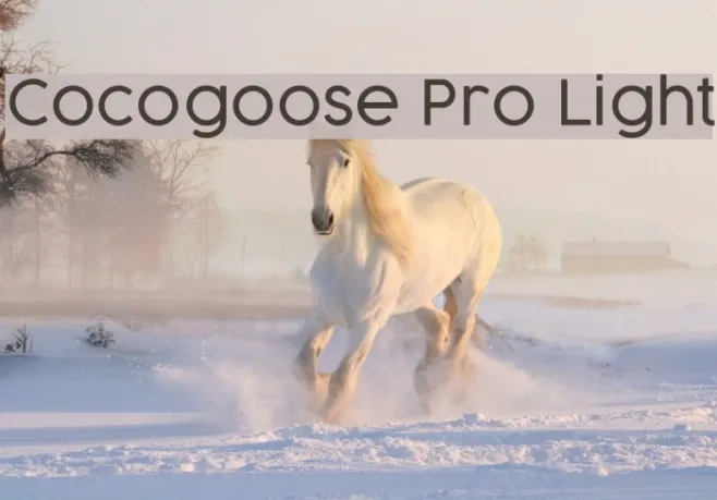 Cocogoose Pro Light Example 3