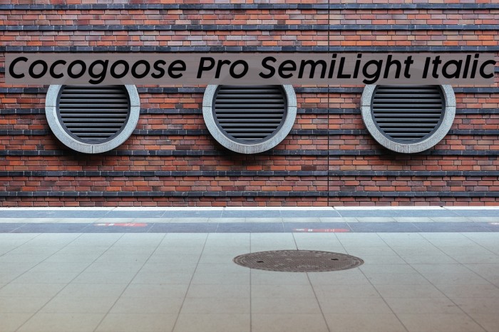 Cocogoose Pro SemiLight Italic Font examples