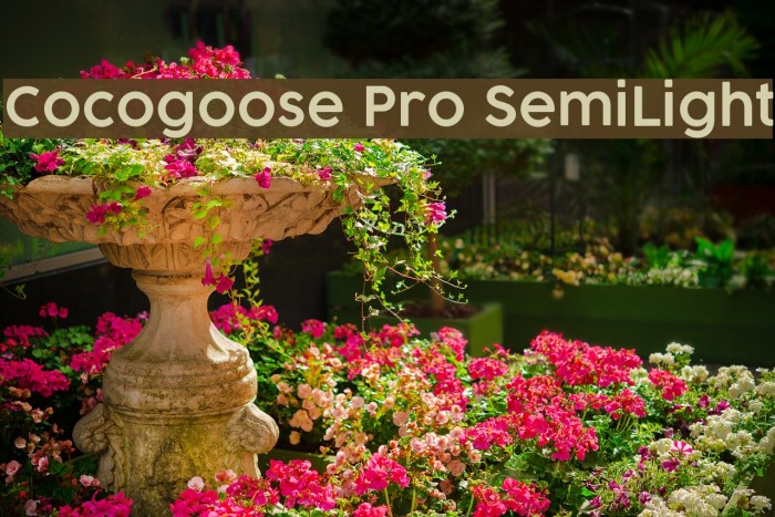 Cocogoose Pro SemiLight Font examples