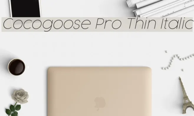 Cocogoose Pro Thin Italic Example 1