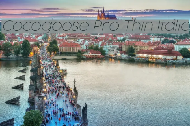 Cocogoose Pro Thin Italic Example 3