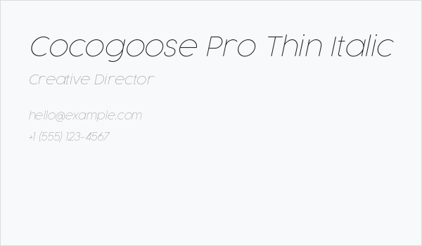 Cocogoose Pro Thin Italic Business Card