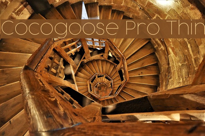 Cocogoose Pro Thin Font examples