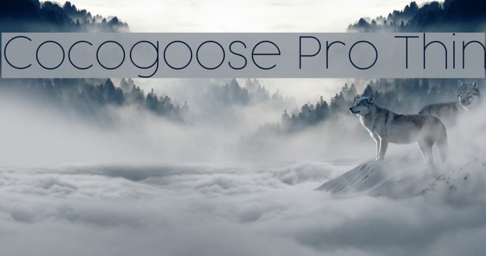 Cocogoose Pro Thin Font examples