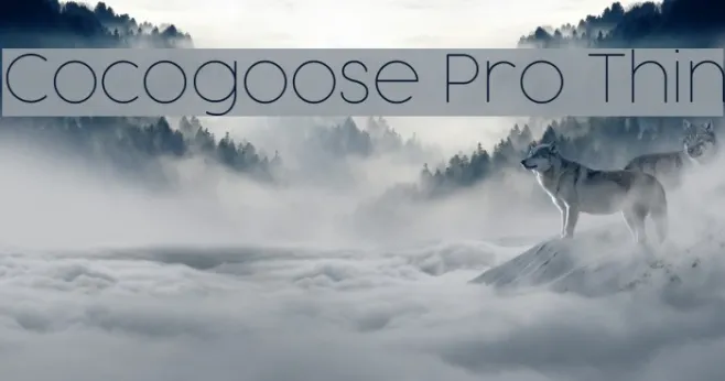 Cocogoose Pro Thin Example 2