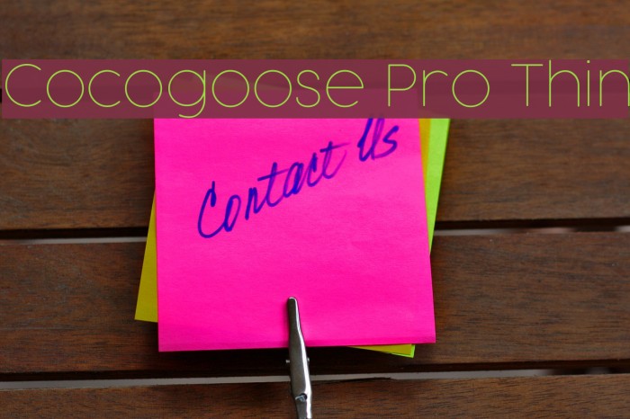 Cocogoose Pro Thin Font examples