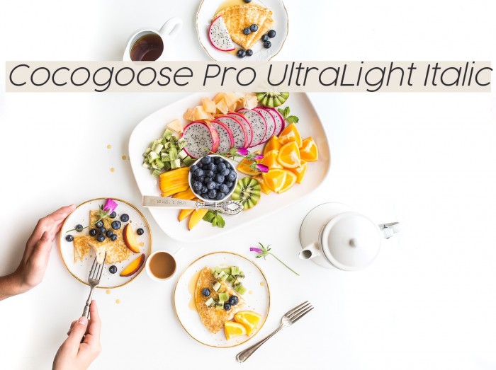 Cocogoose Pro UltraLight Italic Example 1