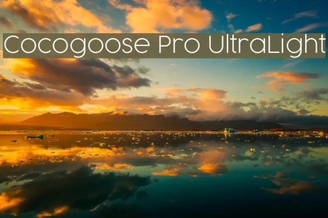 Cocogoose Pro UltraLight Example 3