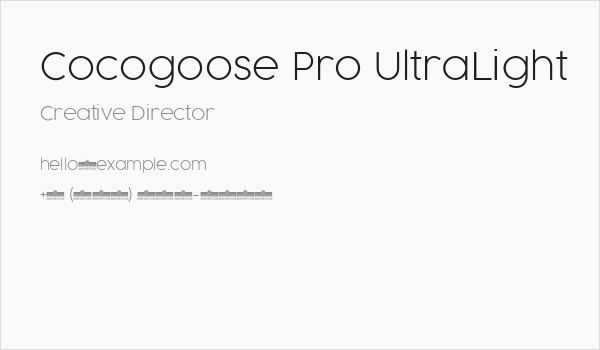 Cocogoose Pro UltraLight Business Card