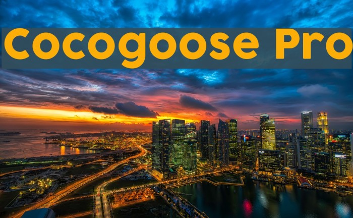 Cocogoose Pro Example 1