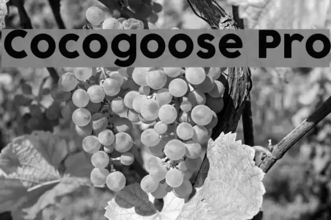 Cocogoose Pro Font examples