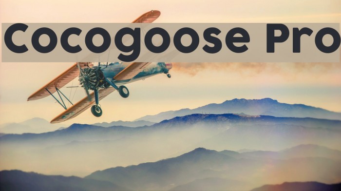 Cocogoose Pro Example 3