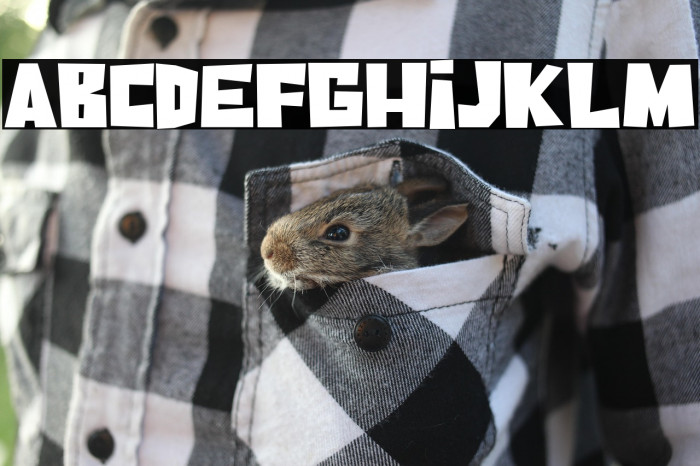 Coconut Days Example 2