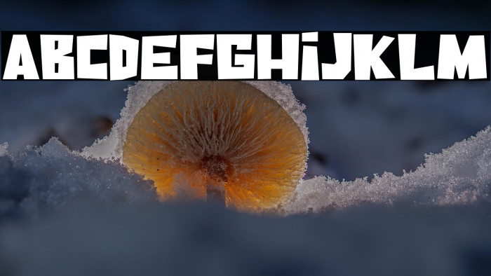 Coconut Days Example 3