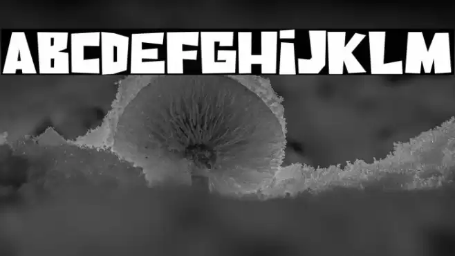 Coconut Days Font examples