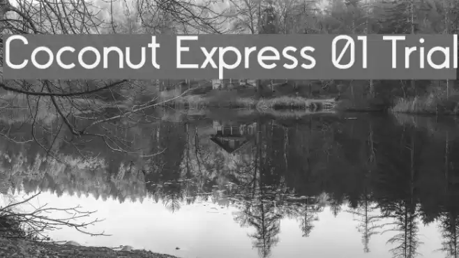 Coconut Express 01 Trial Font examples