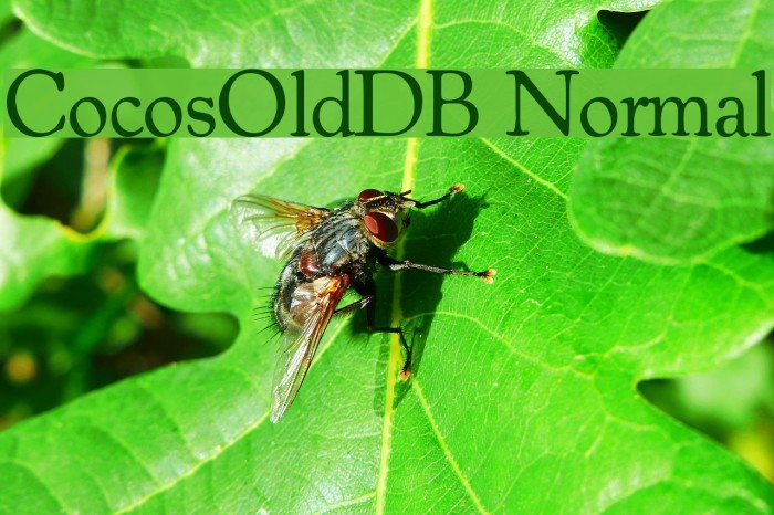 CocosOldDB Normal Font examples