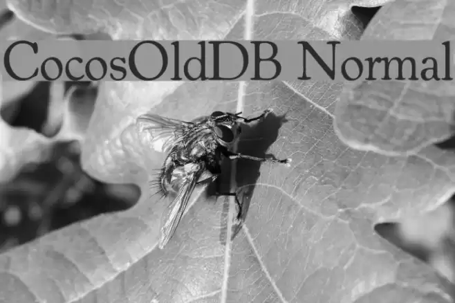 CocosOldDB Normal خط examples