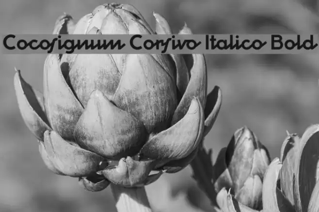 Cocosignum Corsivo Italico Bold Fonte examples